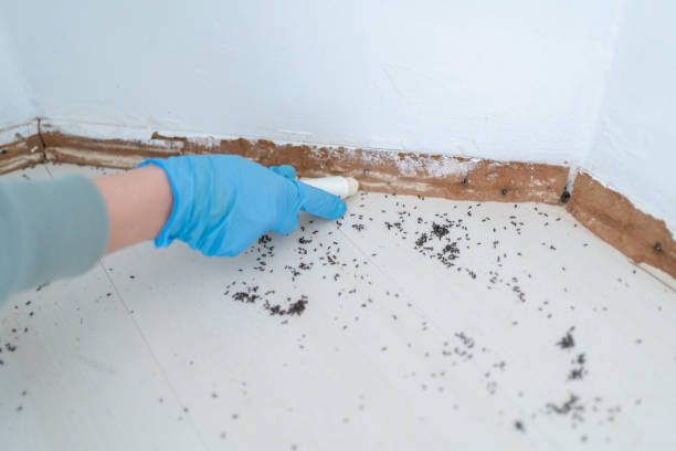 Best Pest Control for Hotels  in White Sands, NM